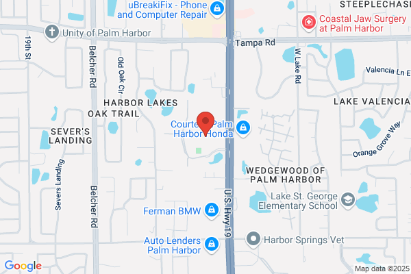 Alfred Alvarez MD - Palm Harbor