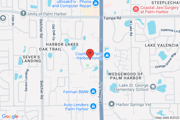 Dolores Razman MD - Palm Harbor