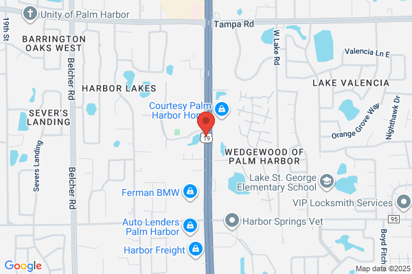 Lara Cavanaugh MD - Palm Harbor