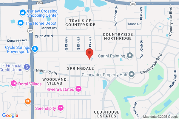 Bee Rescue Foundation Of Florida Live Bee Removal