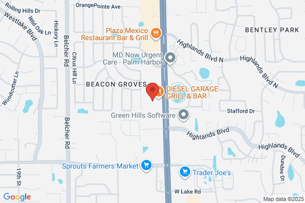 Uptown Cheapskate Palm Harbor