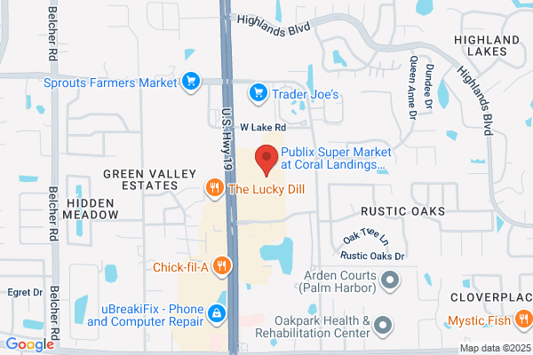 AAA Palm Harbor