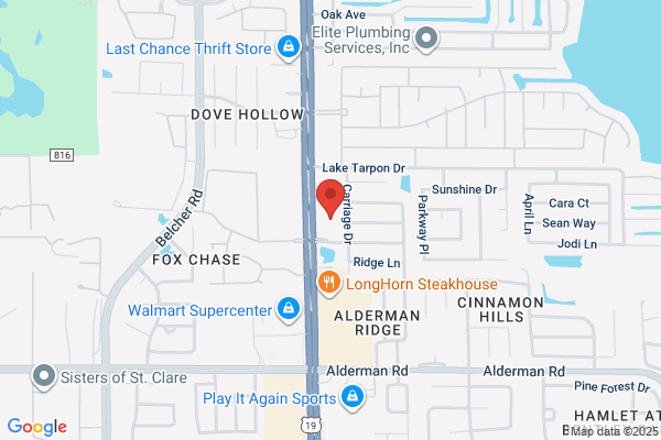 The Vet Clinic of Palm Harbor