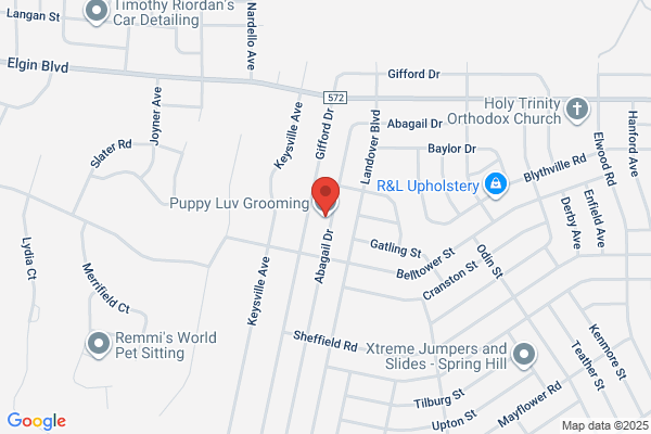 Puppy Luv Pet Salon