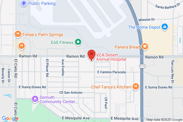 VCA Desert Animal Hospital