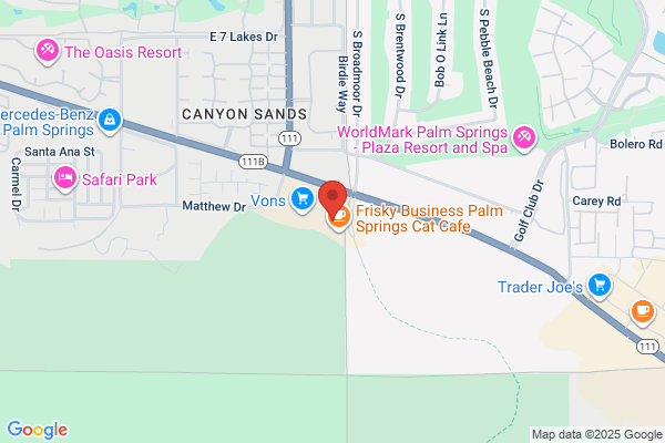 Palm Springs Animal Hospital, A Thrive Pet Healthcare Partner
