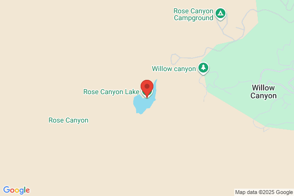 Canyon Rose