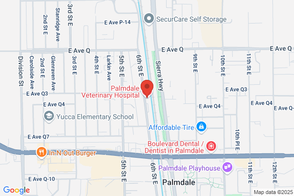Palmdale Vet