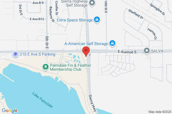 All American Bail Bonds