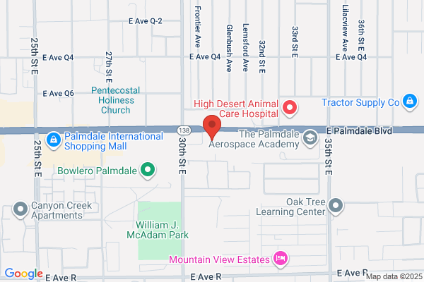 Advance Auto Parts