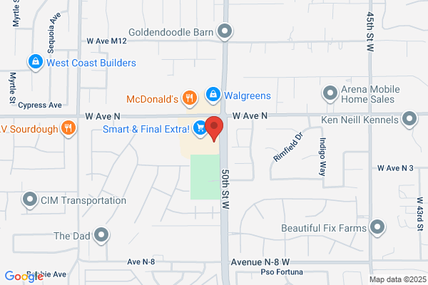 AutoZone Auto Parts