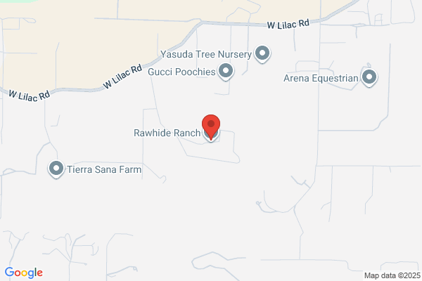 Rawhide Ranchg Petting Zoo With Exotics Pony Ride Summer Camp