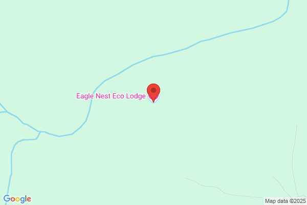 Eagles' Nest Bed In the Woods