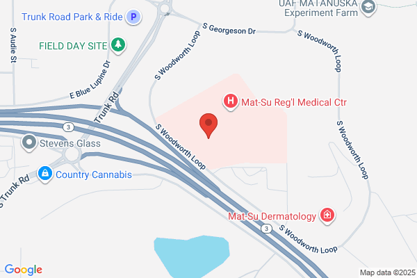 Matanuska Susitna Borough Emergency Services