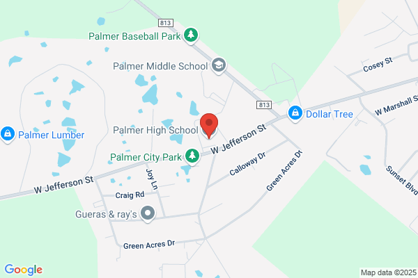 Palmer Public School, High School