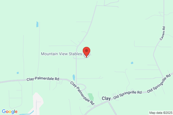 Mountain View Stables