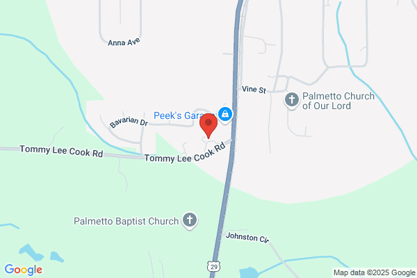 Palmetto Line Contractors
