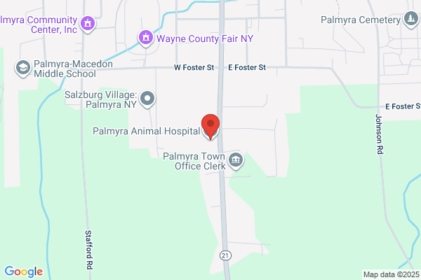 Palmyra Animal Hospital