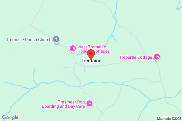 Tremaine Chere