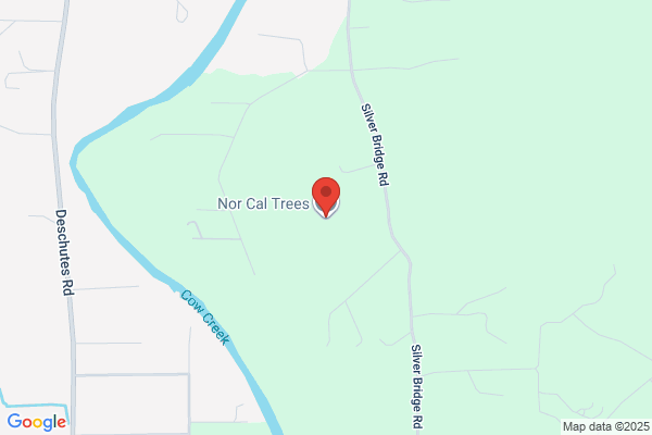 Nor Cal Trees