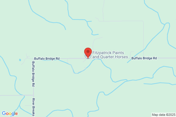Fitzpatrick Quarter Horse