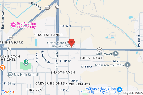 Cedar Grove Animal Hospital