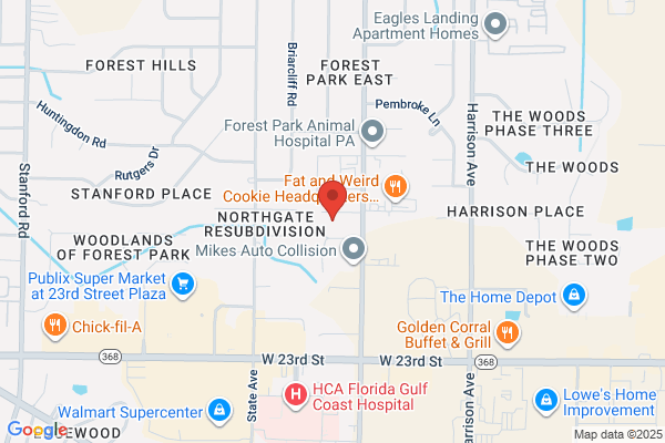 Bay Neurological Institute