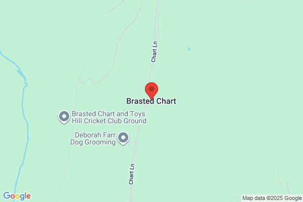 Brasted House Llc
