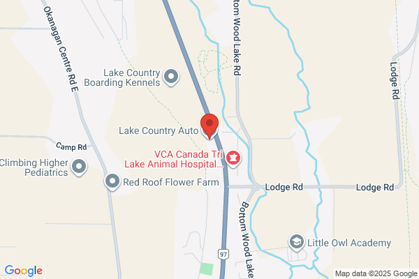 Lake Country Automotive