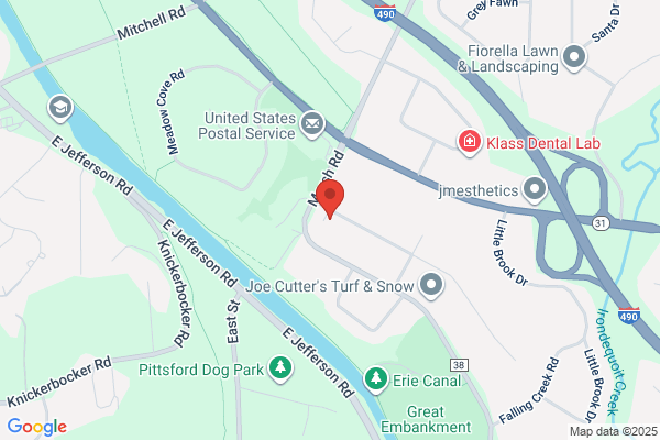 Msc Landscape and Tree Service
