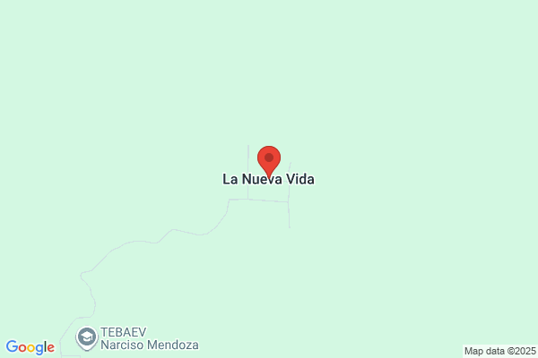 La Nueva Vida
