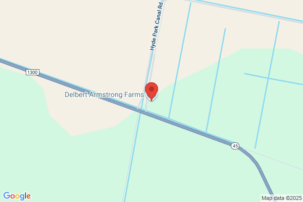 Armstrong Delbert Farms Inc
