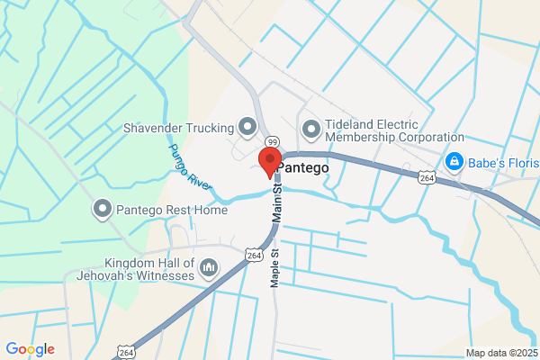 Pantego Town of, Non Fire Calls