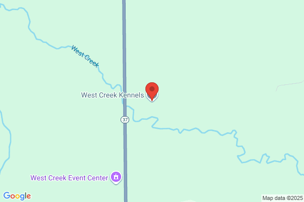 Wea Creek Kennel