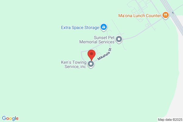 Big Island Tree Service Inc