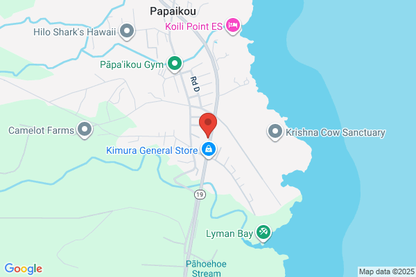 Leialoha Plumbing Service