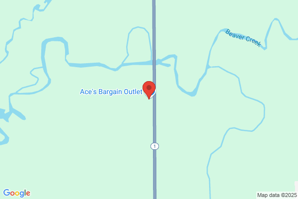 Ace Auto Repair Inc