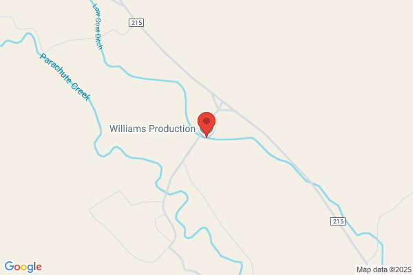 Williams Production Rmt