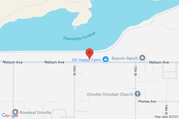 Nelson M General Contracting
