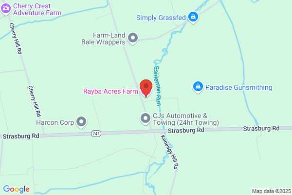 Ranck Reba Notary Public