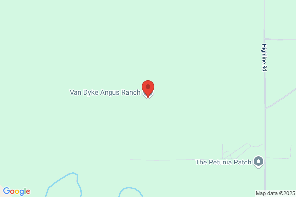 Vanness Angus Ranch