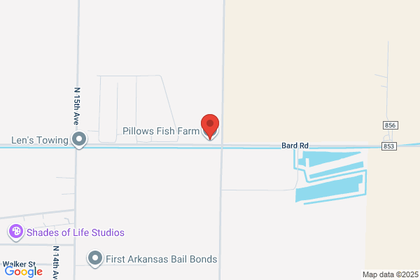 Pillows Fish & Bait Farm