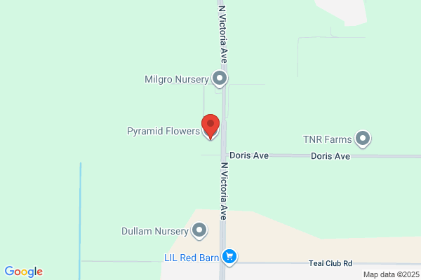 Pyramid Wholesale Florists