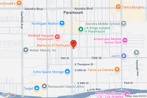 All Mold Inspections