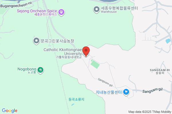 Kkottongnae