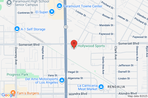Hollywood Video