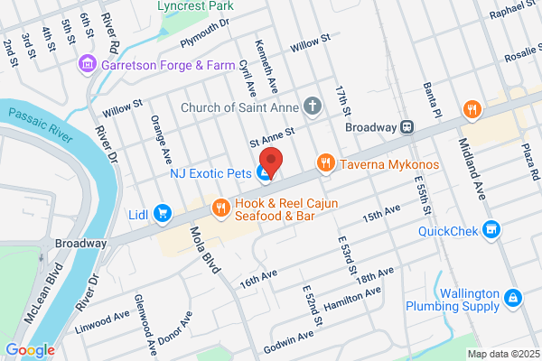 Pink Nail Studio Too