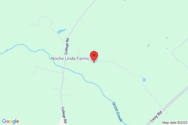 Noche Linda Farms