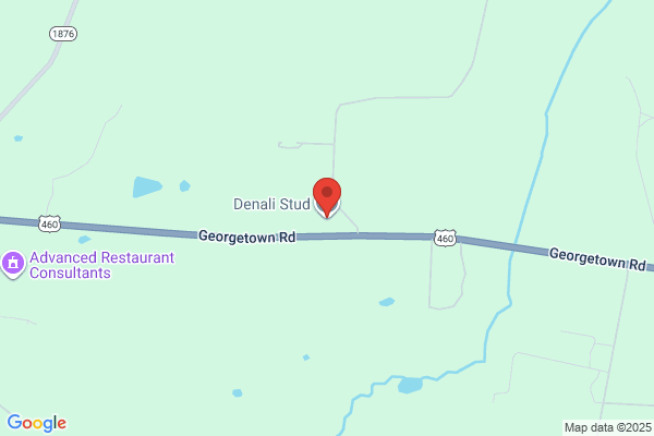 Denali Stud