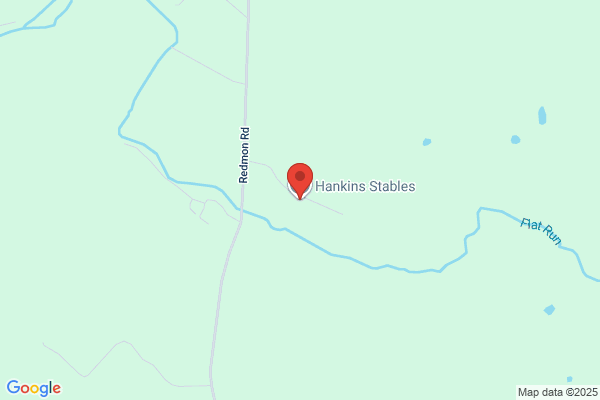 Hankins Jamie